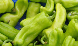 青椒炒蛋肉丝盖浇饭的做法 青椒炒蛋肉丝盖浇饭的做法大全