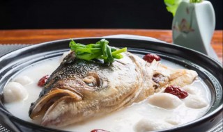 天麻鱼头汤的做法功效 天麻鱼头汤的做法和功效