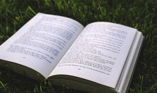 出乎意料什么意思 出乎意料什么意思l