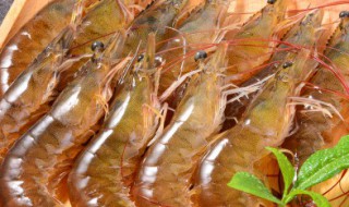 干锅香辣虾火锅的做法 干锅香辣虾火锅怎么做