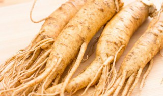 人参花茶的做法和食用方法 人参花茶的做法和食用方法大全