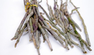 石斛兰的食用方法和功能 石斛兰的食用方法和功能主治