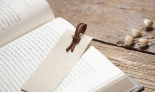 了望是什么意思 了望是什么意思?