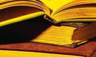 爱理不理什么意思（爱理不理是词语吗）