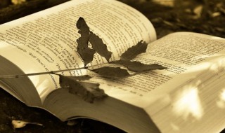 蔚然成风什么意思（蔚然成风什么意思?）