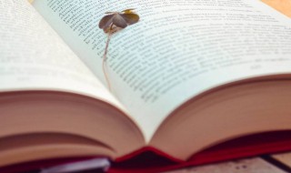 水落石出什么意思 水落石出什么意思?