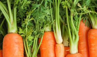 黄胡萝卜的做法