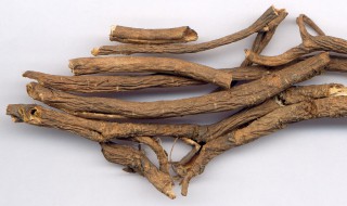 地骨皮食用方法 地骨皮的制作方法