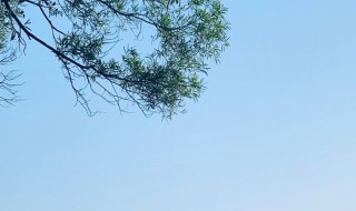 慢条斯理什么意思 慢条斯理什么意思?