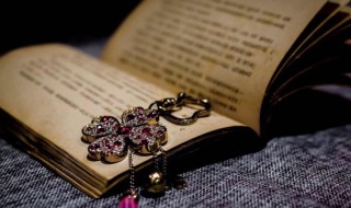 极网是什么意思 极是啥意思