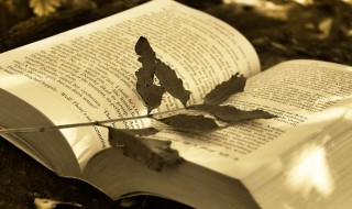 穷追不舍什么意思 穷追不舍什么意思解释