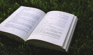 知难而退什么意思（见可而进知难而退什么意思）