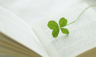 奋不顾身什么意思（奋不顾身什么意思解释）