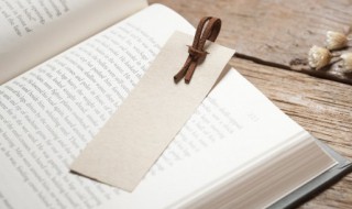 小粒是什么意思（小粒粒是什么）