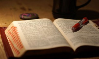 一枝独秀什么意思(百闻不如一见什么意思)