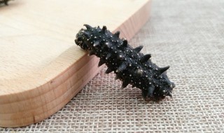 葱烧海参做法步骤（葱烧海参的简单做法窍门）