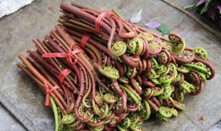 蕨菜的做法大全 蕨菜的做法大全视频