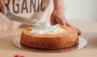 乳酪蛋糕胚的做法 乳酪蛋糕胚的做法视频