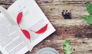 无影无踪什么意思 无影无踪什么意思?