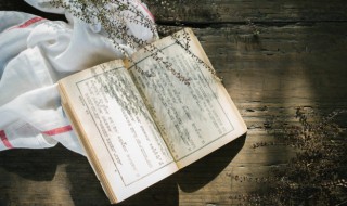 比照是什么意思（比照是什么意思网络用语）