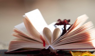 君上是什么意思（君上是什么意思男人女人）