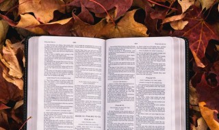 家庭副业是什么意思 古代家庭副业是什么意思