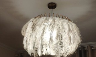 羽毛灯脏了怎么清洗 羽毛灯脏了怎么清洗掉