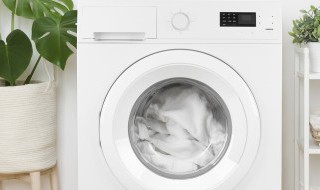 洗衣机的洗涤和漂洗是什么（洗衣机的洗涤和漂洗是什么原理）