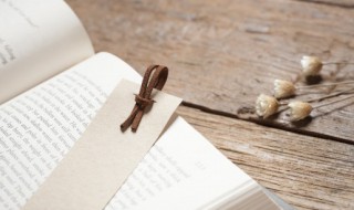 而立之年什么意思 已是而立之年什么意思