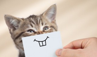 关于微笑的排比句（关于微笑的排比句结尾）