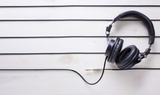 布谷鸟的歌词 布谷鸟的歌曲简介