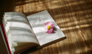 曹参怎么读（狱掾曹参怎么读）