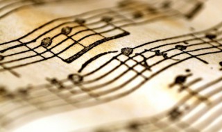 一腔诗意喂了狗歌词 一腔诗意喂了狗歌词拼音