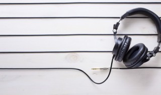 小树叶儿歌歌词 小树叶儿歌歌词幼儿园