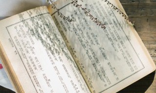 薄伽丘怎么读 达伽马怎么读