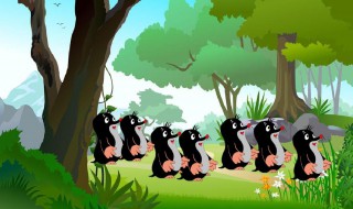 小鼹鼠怎么读 小鼹鼠怎么读拼音