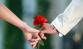 我爱你的歌词（表达我爱你的歌词）