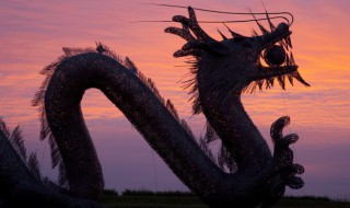 龙的英语怎么读 龙的英语怎么读dragon