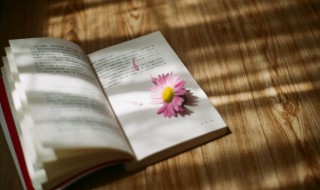 怦怎么读（悸怎么读）