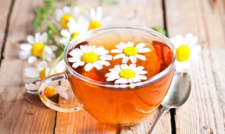 雏菊怎么读（雏怎么读）