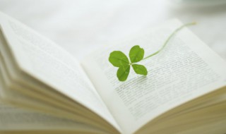 不谙世事怎么读（不谙世事与不谙世事读音）