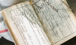 饔飧怎么读 怎么读饔飧