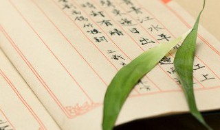 怀揣怎么读（怀揣怎么读揣怎么读）