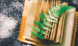 铛dang组词（铛组词）