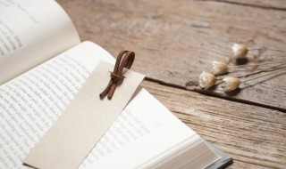 寅怎么读拼音（寅怎么读拼音是什么意思）