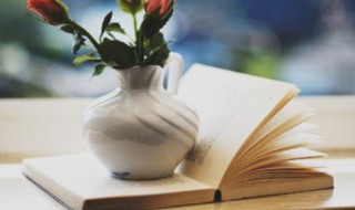 蜘组词语（蜘组词语和拼音）