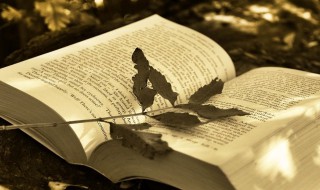 攻讦的拼音怎么读 攻讦的拼音怎么读啊