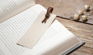 关于坚持的金句(关于坚持的名言)