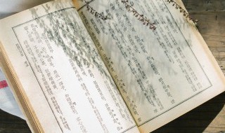 龟马是什么意思 龟和马是什么意思