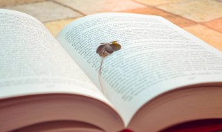 广东简称粤怎么读 广东别称是什么粤怎么读